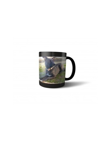 Taza mágica