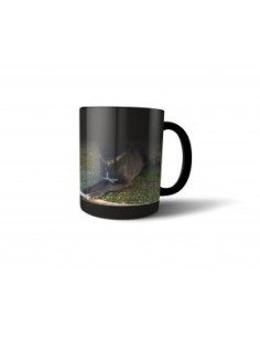 Taza mágica 2