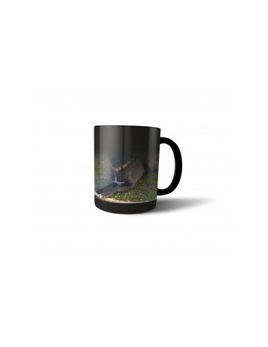 Taza mágica