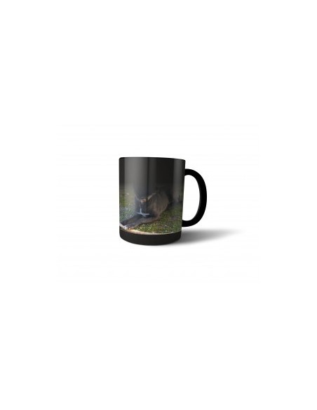 Taza mágica