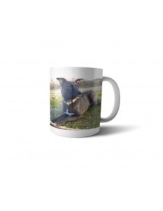Taza con foto 2