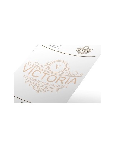 Papel de carta